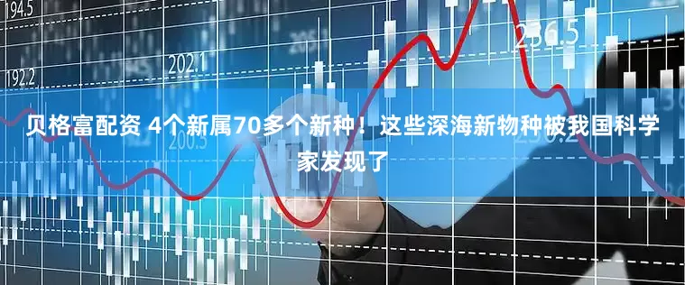 贝格富配资 4个新属70多个新种！这些深海新物种被我国科学家发现了
