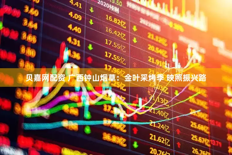 贝嘉网配资 广西钟山烟草：金叶采烤季 映照振兴路