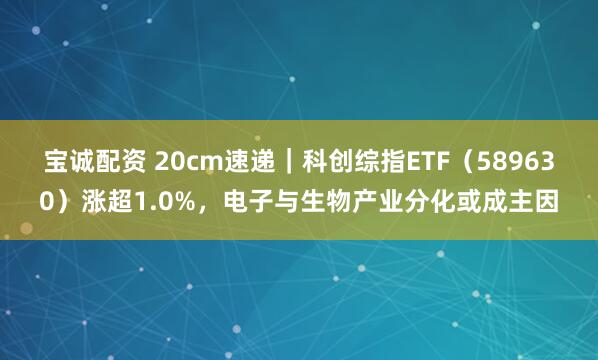 宝诚配资 20cm速递｜科创综指ETF（589630）涨超1.0%，电子与生物产业分化或成主因