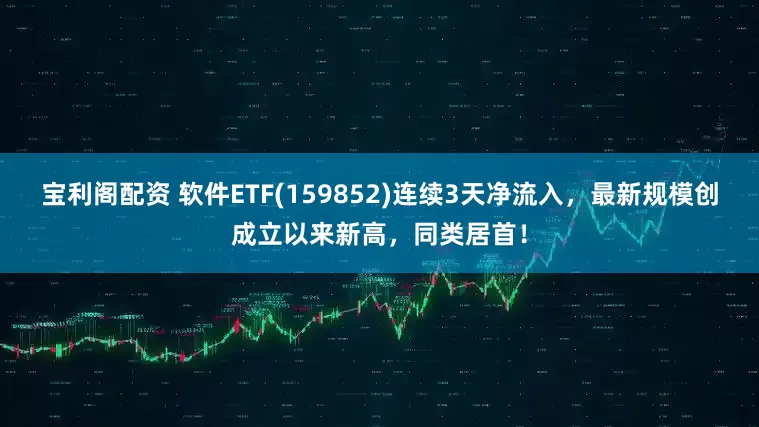 宝利阁配资 软件ETF(159852)连续3天净流入，最新规模创成立以来新高，同类居首！